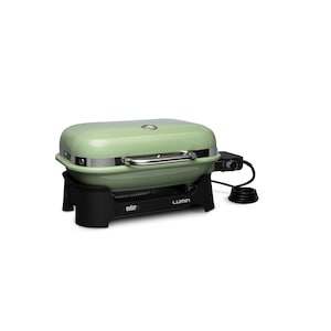 92070901 - Weber Lumin - Vert Écume - BBQ Québec