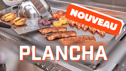 Cours Plancha - BBQ Québec