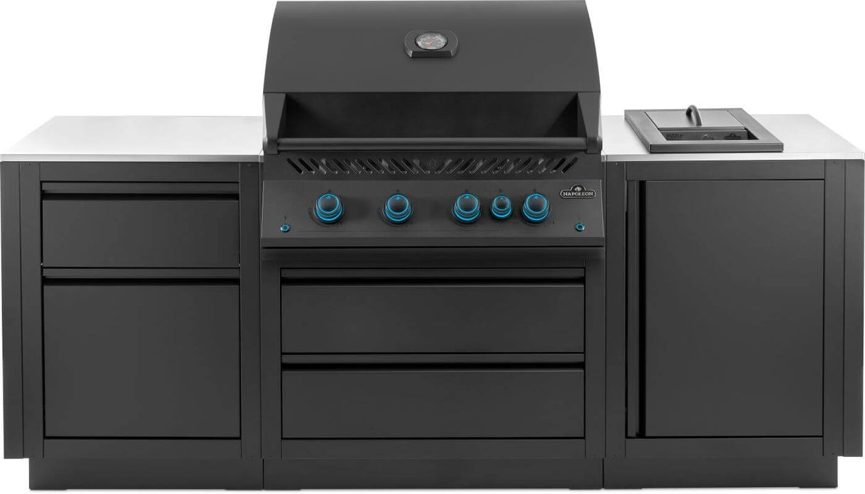 OOK-002 - Napoleon Cuisine OASIS Built-In 32" Comptoir Stainless Phantom LP