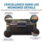 OOK-002 - Napoleon Cuisine OASIS Built-In 32" Comptoir Stainless Phantom LP
