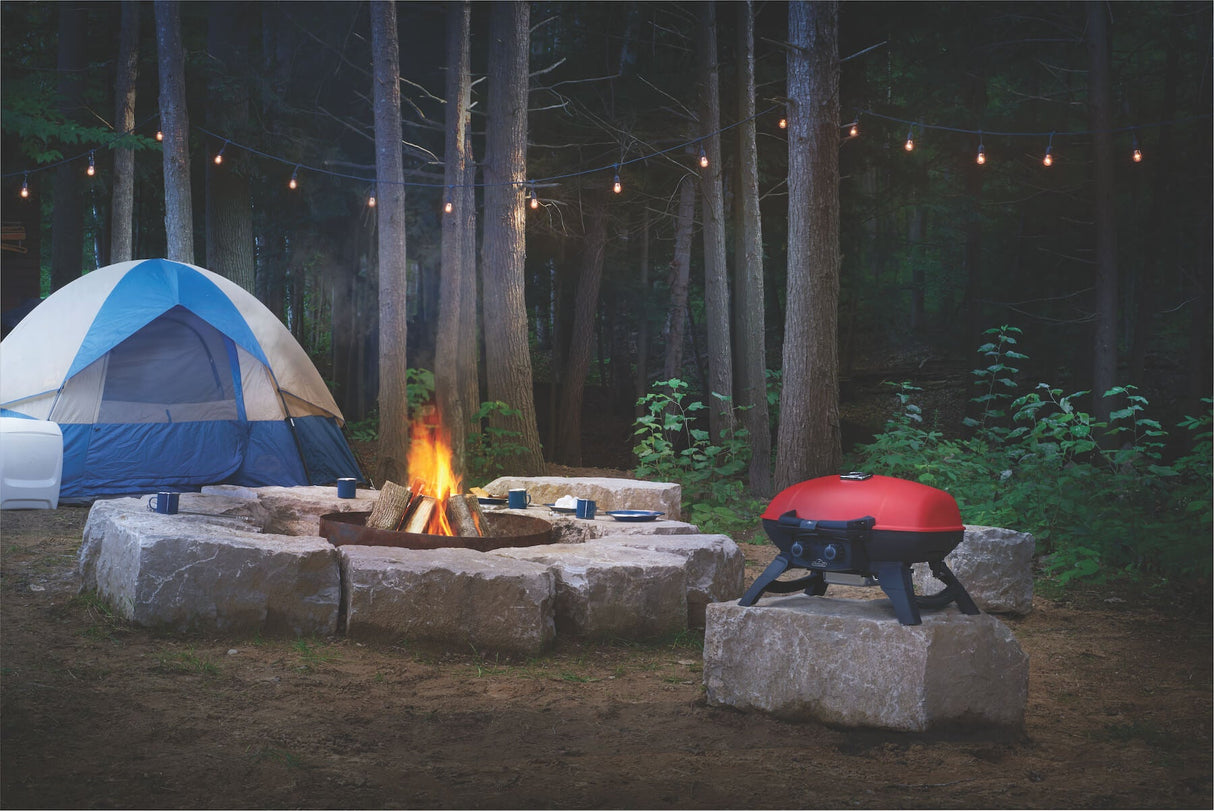 Napoleon Gril à gaz portatif TravelQ 285 Propane BBQ avec plaque de cuisson - BBQ Québec