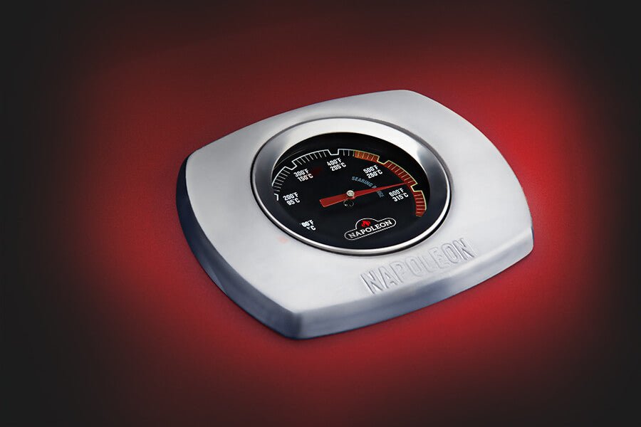 Napoleon Gril à gaz portatif TravelQ 285 Propane BBQ avec plaque de cuisson - BBQ Québec