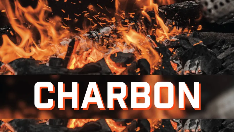 Initiation au charbon