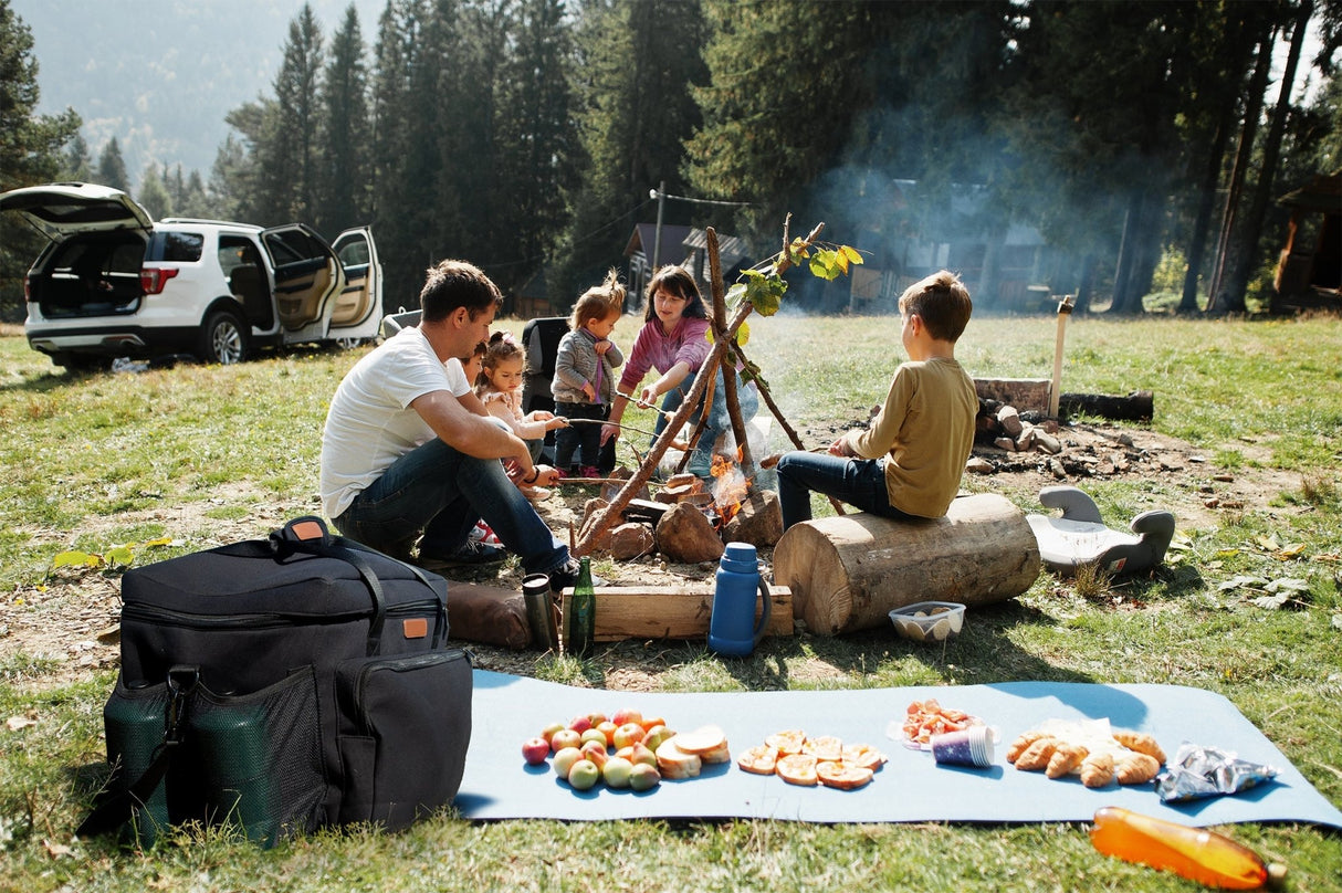 HBEPROBAG - Everdure - Cube Gas Carry Bag - BBQ Québec