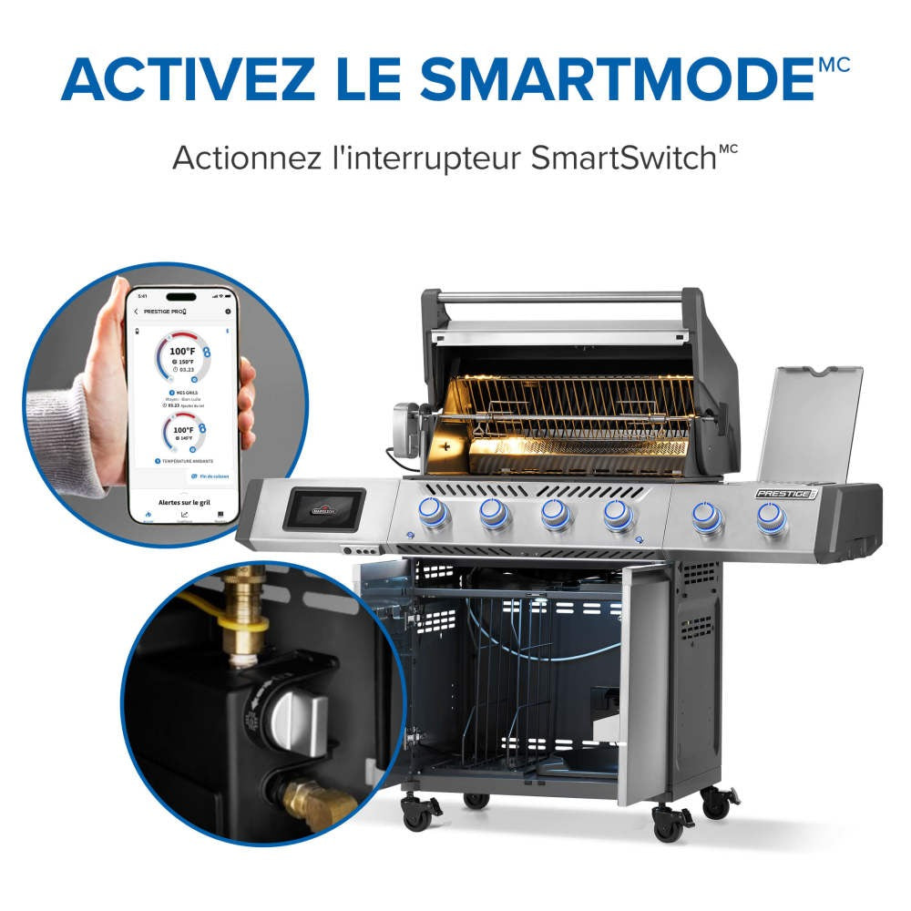 PRO500VXRSIBNSS - Gril Prestige PRO 500 au gaz naturel avec technologie intelligente
