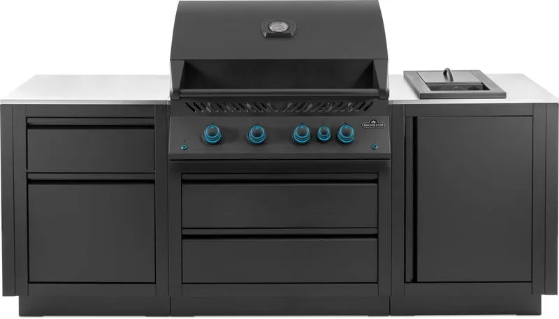 OOK-002 - Napoleon Cuisine OASIS Built-In 32" Comptoir Stainless Phantom LP - BBQ Québec